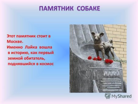 Памятник кошке и собаке презентации