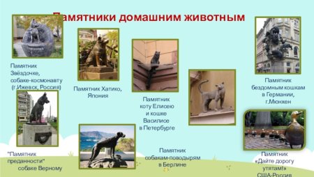 Памятники о животных и рассказ