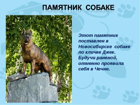 Памятники собакам презентация