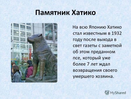 Памятник Хатико в России