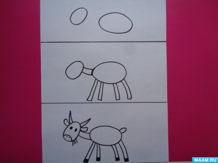 Рисование в подготовительной группе Дикие диво