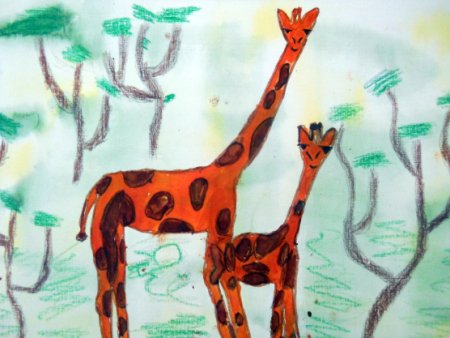 Рисование в старшей группе животные