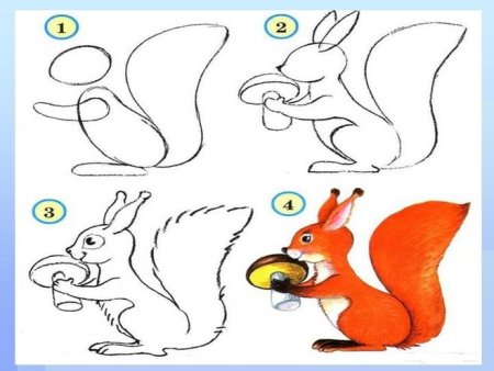 Рисование белка в подготовительной группе