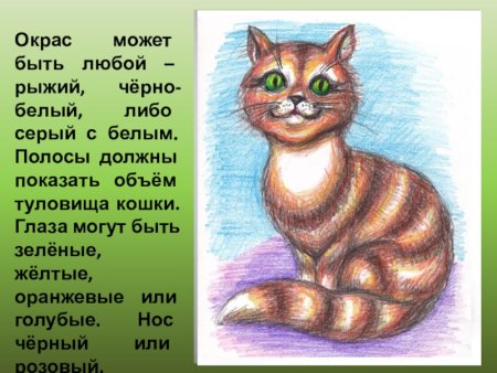 Кошка цветными карандашами