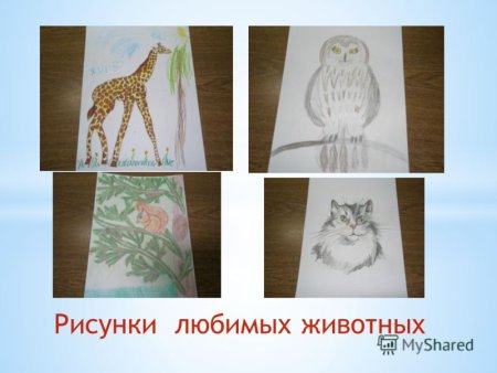 Рисование любимые животный