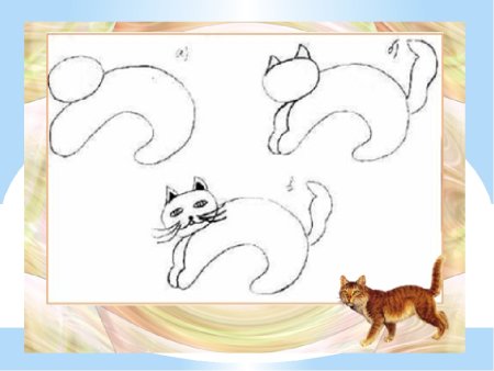 Схема рисования кошки в старшей группе