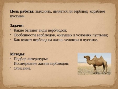 Выкройка верблюда