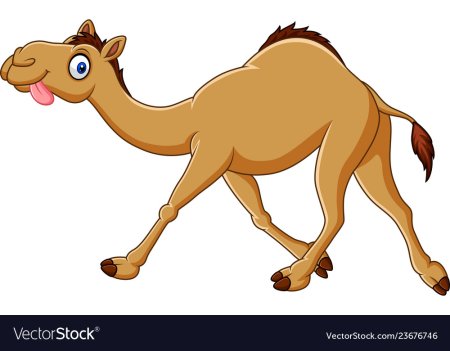 Пустыня Верблюды Караван