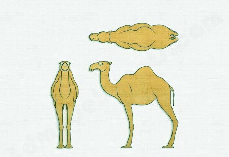 Верблюд лежачий вектор