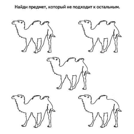 Силуэт верблюда легкий