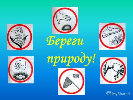 Табличка берегите природу