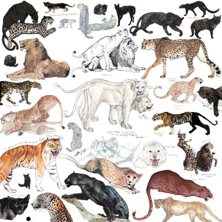 Семейство кошачьих арт