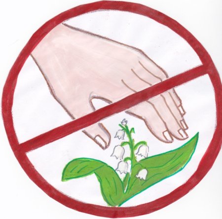 Плат берегить животных