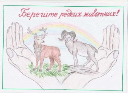 Плакаты о защите природы и животных