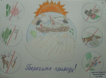 Рисунки заповедника детские