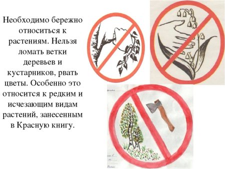 Береги природу для детей