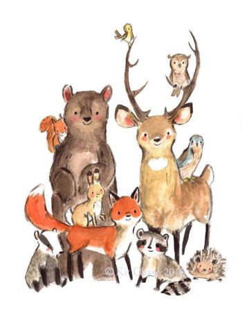 Лесные зверюшки