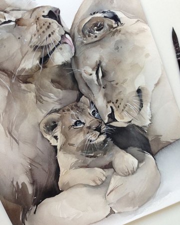 Лев львица и Львенок