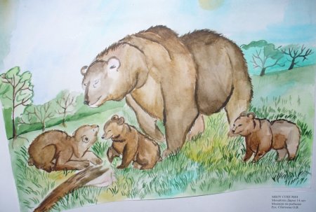 Детские рисунки медведя