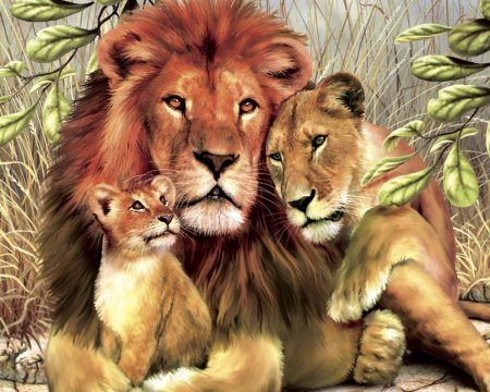 Лев львица и Львенок