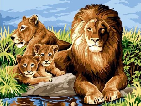 Львиная семья ex5263