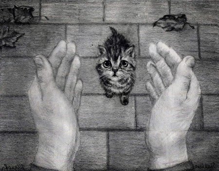 Котенок на руках