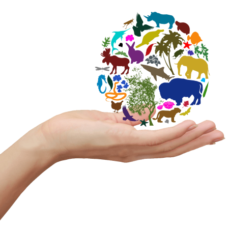 Международный день биологического разнообразия