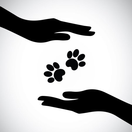 Рука и лапа силуэт