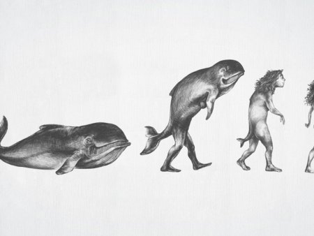 Теория эволюции акватическая