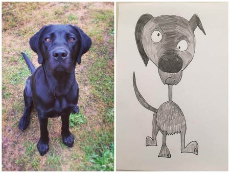 Эта собака плохо нарисованная