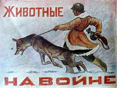 Собаки на войне плакат