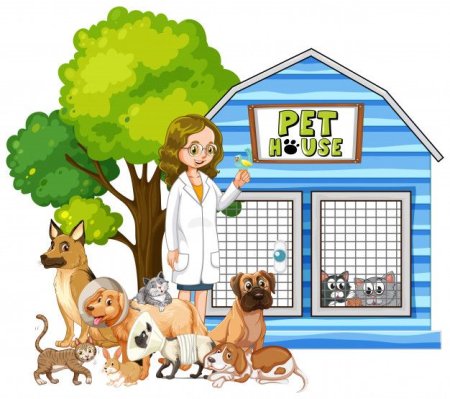 Эскиз приюта для животных