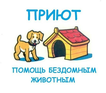 Помоги приюту для животных