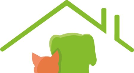 Рисунки бездомных животных