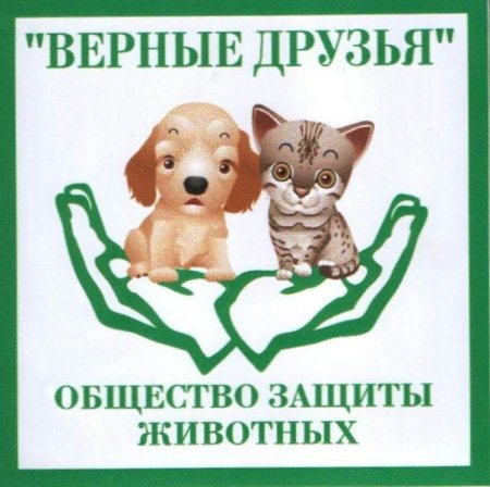 Плакат приют для бездомных животных