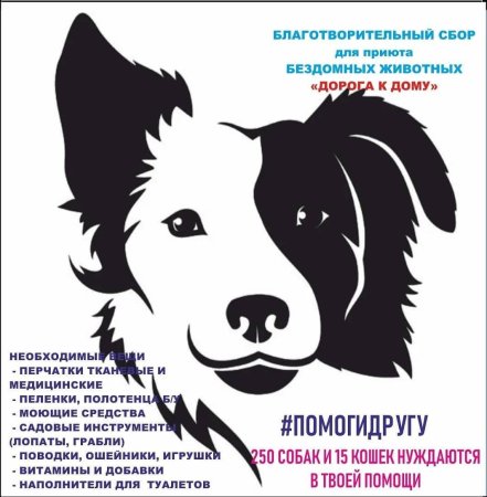 Еда для бездомных животных