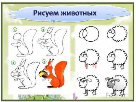 Алгоритм рисования животных