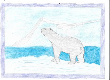 Рисование животных Арктики