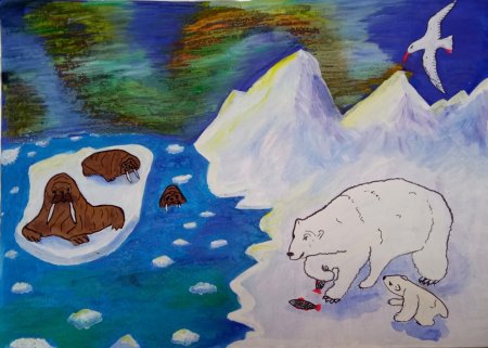 Рисование животные Арктики и Антарктики подготовительная группа