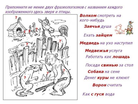 Фразеологизмы про животных и птиц