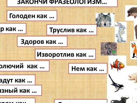 Закончить фразеологизмы