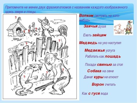 Фразеологизмы про животных