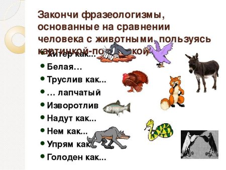 Фразеологизмы про животных