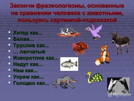 Фразеологизмы про животных
