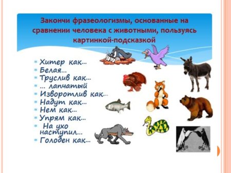 Фразеологизмы задания