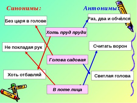 Синонимы и антонимы