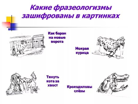 Фразеологизмы в картинках