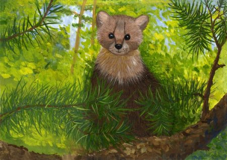 Животные Югры рисунки