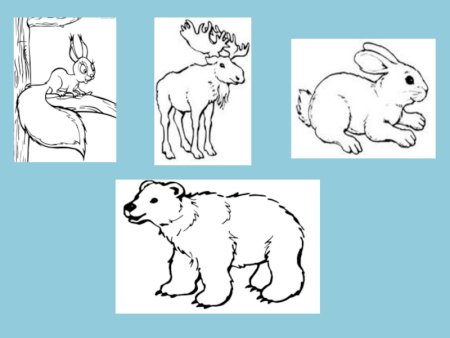 Животные ХМАО раскраска