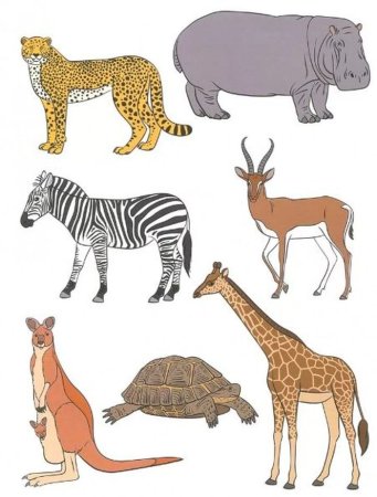 Животные Африки для детейэ